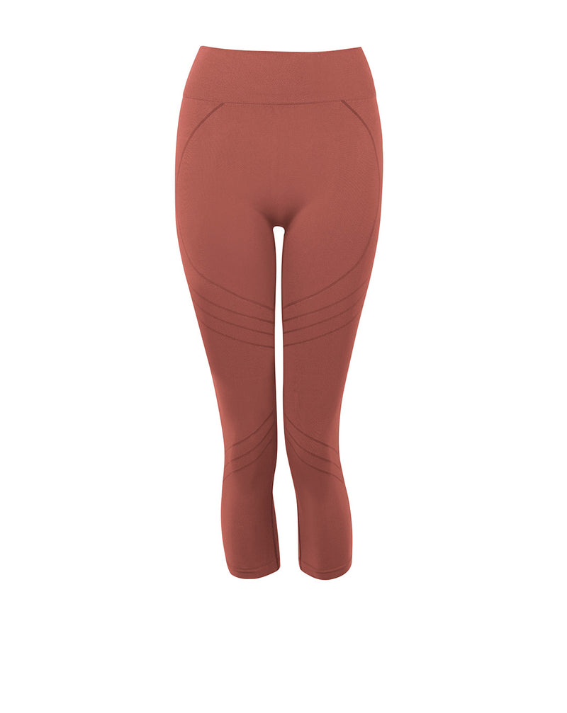 MOTION 3/4 Leggings | Rusty Pink | Image 1