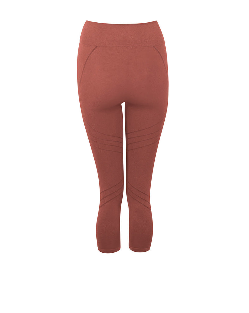 MOTION 3/4 Leggings | Rusty Pink | Image 3